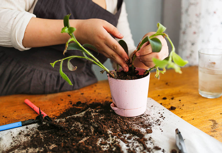 Child planting plants
